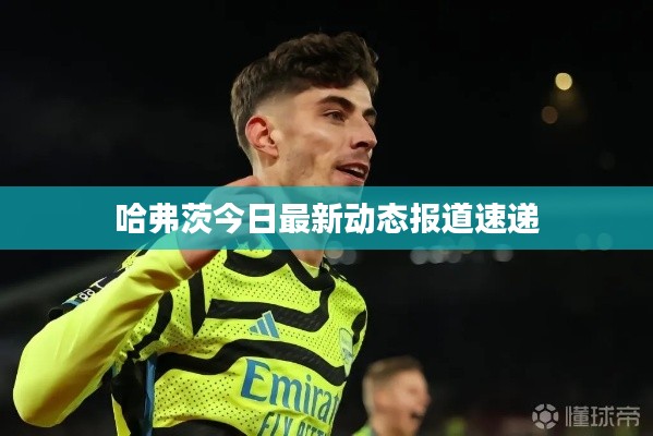 哈弗茨今日最新动态报道速递