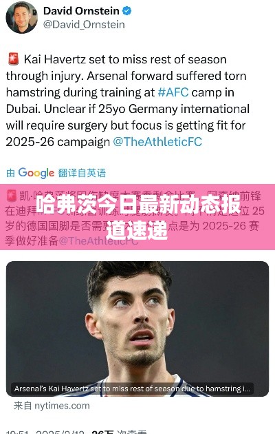 哈弗茨今日最新动态报道速递