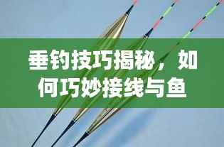 垂钓技巧揭秘,如何巧妙接线与鱼漂,展现你的智慧与技艺