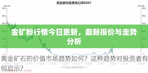 金矿粉行情今日更新,最新报价与走势分析