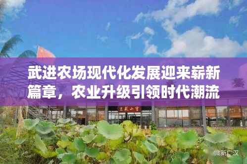 武进农场现代化发展迎来崭新篇章，农业升级引领时代潮流