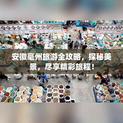 安徽毫州旅游全攻略,探秘美景,尽享精彩旅程!