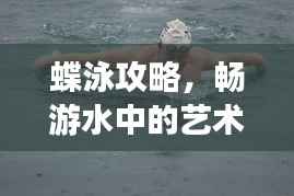 蝶泳攻略,畅游水中的艺术世界