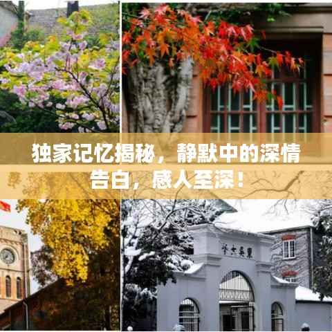 独家记忆揭秘,静默中的深情告白,感人至深!