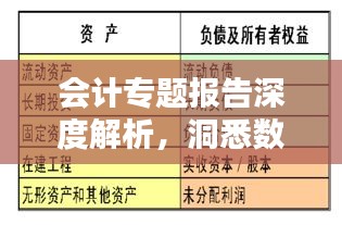 会计专题报告深度解析,洞悉数字背后的奥秘