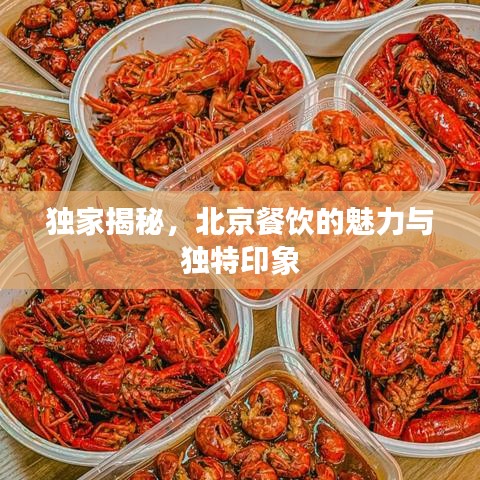 独家揭秘，北京餐饮的魅力与独特印象