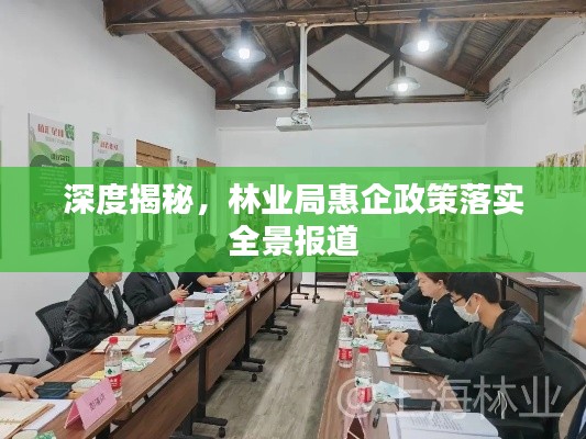 深度揭秘,林业局惠企政策落实全景报道