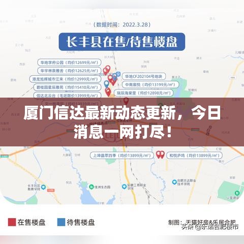 厦门信达最新动态更新，今日消息一网打尽！