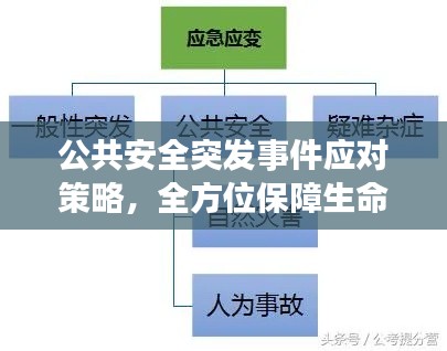 公共安全突发事件应对策略,全方位保障生命安全