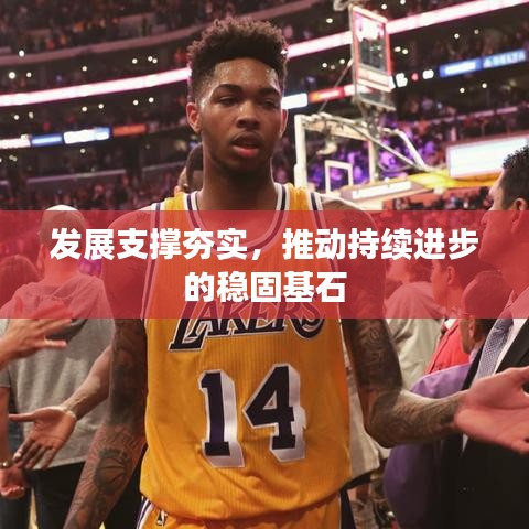 发展支撑夯实,推动持续进步的稳固基石