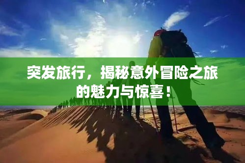 莺啼鸟啭 第2页