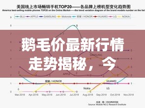 鹅毛价最新行情走势揭秘,今日市场分析报告