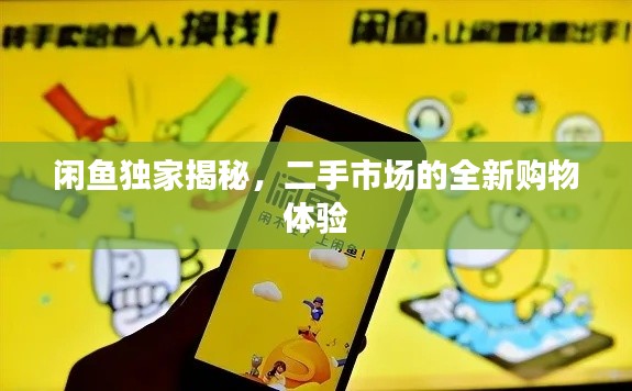 闲鱼独家揭秘,二手市场的全新购物体验