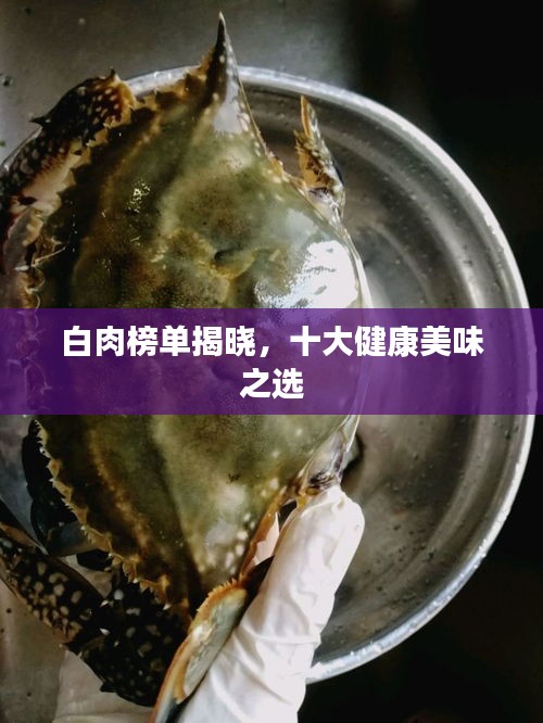 白肉榜单揭晓,十大健康美味之选