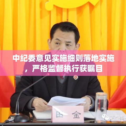 中纪委意见实施细则落地实施，严格监督执行获瞩目