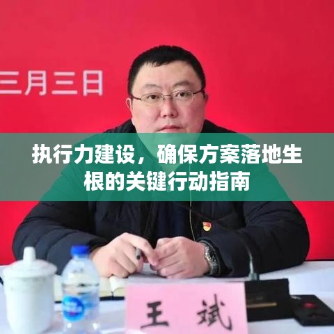执行力建设,确保方案落地生根的关键行动指南