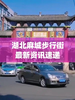 湖北麻城步行街最新资讯速递