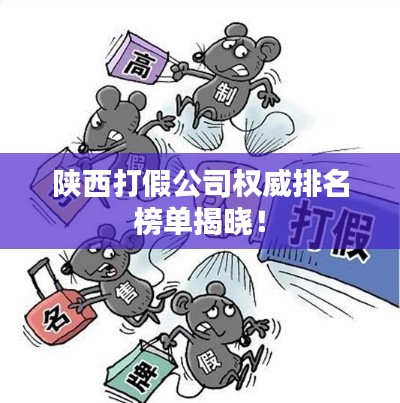 陕西打假公司权威排名榜单揭晓！