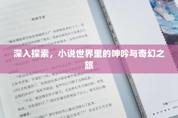 深入探索,小说世界里的呻吟与奇幻之旅