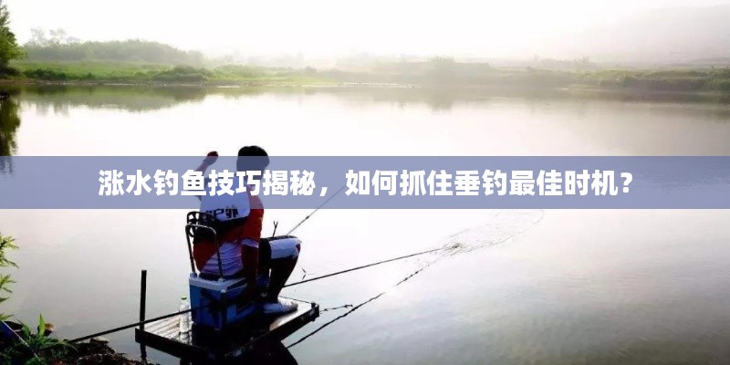 涨水钓鱼技巧揭秘，如何抓住垂钓最佳时机？